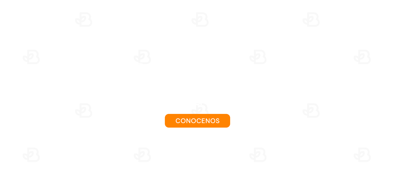 BUDDHA. V2 1500x688
